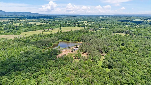 11905 E Old Bellville Rd, Belleville, AR 72824