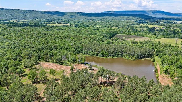 11905 E Old Bellville Rd, Belleville, AR 72824