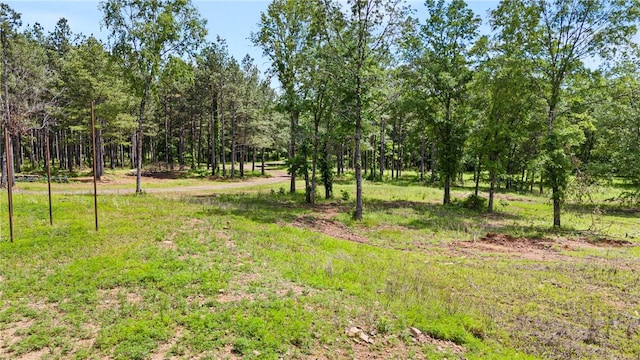 11905 E Old Bellville Rd, Belleville, AR 72824