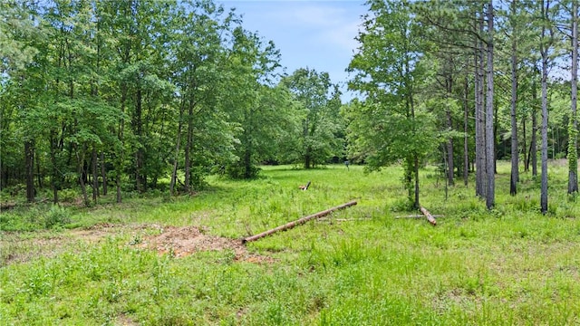 11905 E Old Bellville Rd, Belleville, AR 72824