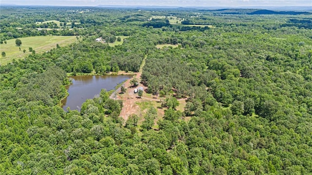 11905 E Old Bellville Rd, Belleville, AR 72824