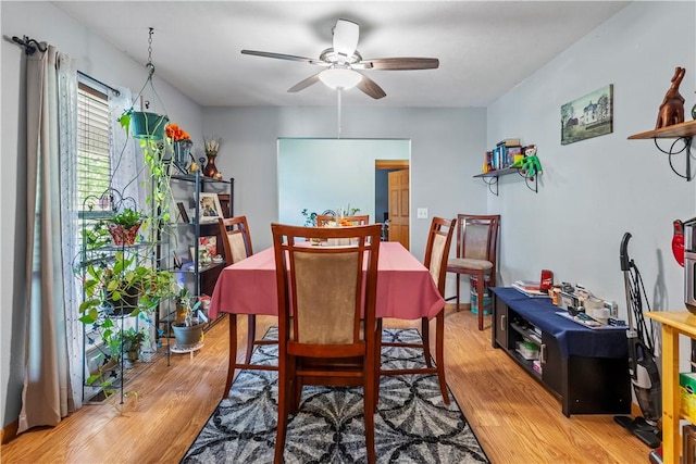 3277 Bellefonte Rd, Harrison, AR 72601 - dining area with ceiling fan and light wood-type flooring