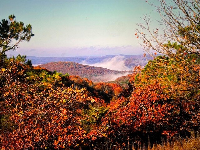 LOT27OFBLOCK13 Woodsdale Dr, Holiday Island, AR 72631 - photo 31