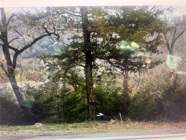 LOT25OFBLOCK2 Deer Run Ln, Holiday Island, AR 72631