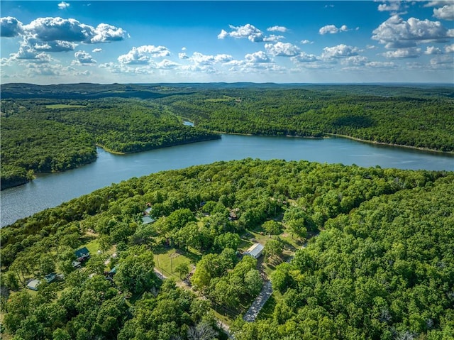 18548 W Ave, Lead Hill, AR 72644 - aerial view of a heavily wooded area and a nearby body of water
