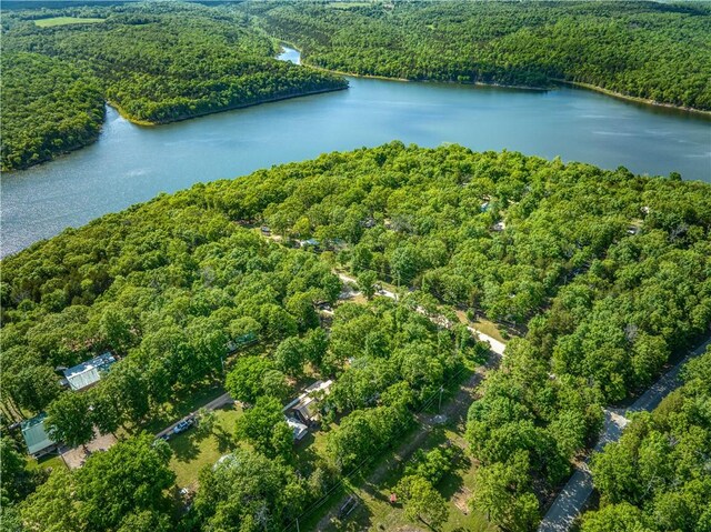 18548 W Ave, Lead Hill, AR 72644 - photo 24