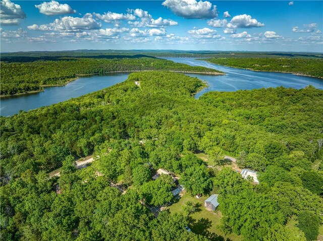 18548 W Ave, Lead Hill, AR 72644 - photo 25