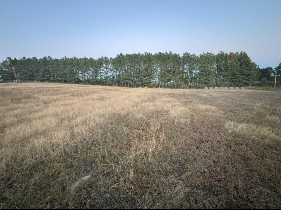 Walnut Rd, Hector, AR 72843 - photo 1