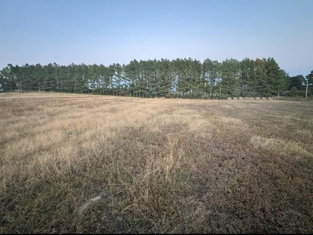 Walnut Rd, Hector, AR 72843 - photo 1