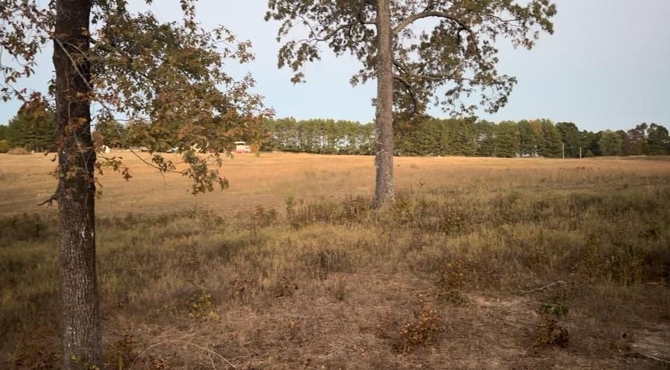 Walnut Rd, Hector, AR 72843 - photo 2