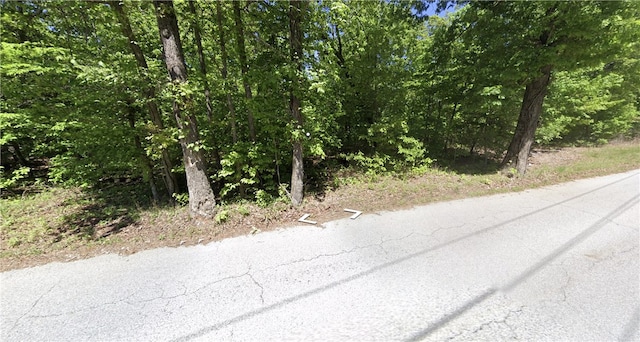 Sunset Dr, Bella Vista, AR 72714 - photo 2
