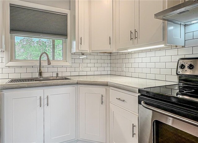 239 Mc 7043, Flippin, AR 72634 - kitchen featuring electric range, range hood, a sink, and white cabinets