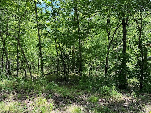 LOT21 Stoneykirk Dr, Bella Vista, AR 72715 - photo 1
