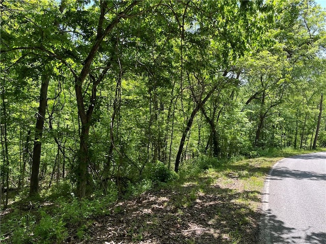 LOT21 Stoneykirk Dr, Bella Vista, AR 72715 - photo 2