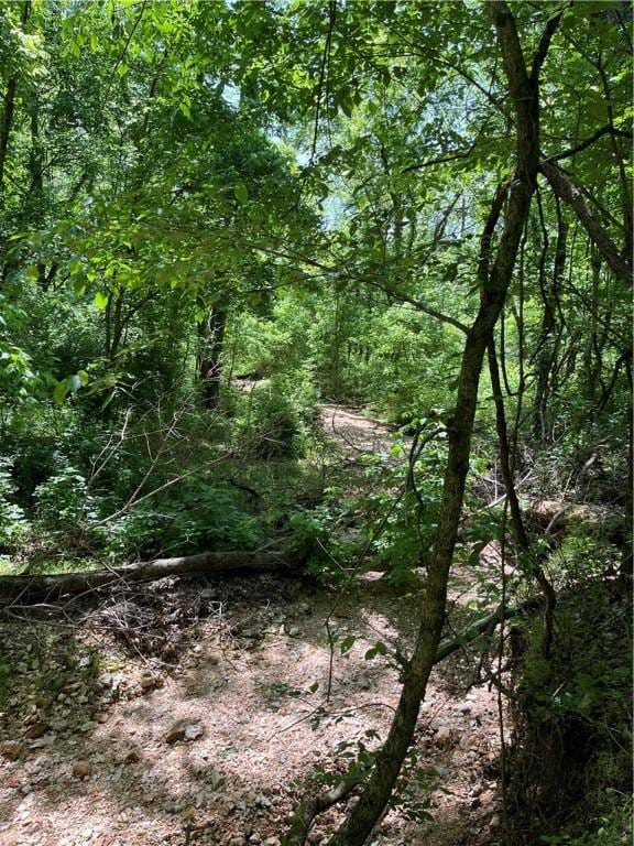 LOT21 Stoneykirk Dr, Bella Vista, AR 72715 - photo 3