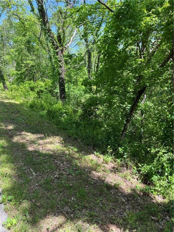 LOT21 Stoneykirk Dr, Bella Vista, AR 72715 - photo 4