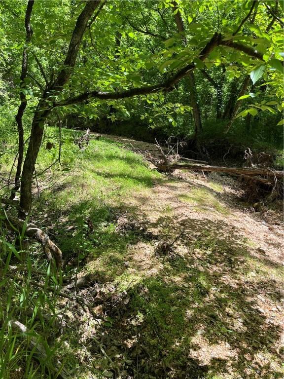 LOT21 Stoneykirk Dr, Bella Vista, AR 72715 - photo 5