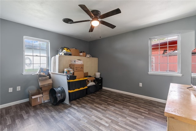 1207 SE E St, Bentonville, AR 72712 - office area featuring wood finished floors, plenty of natural light, and a ceiling fan