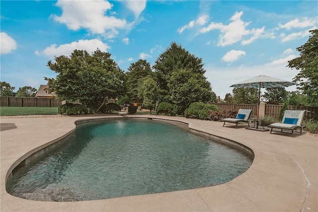11136 W Stonebriar Dr, Bentonville, AR 72712 - view of pool featuring a patio area and a fenced backyard