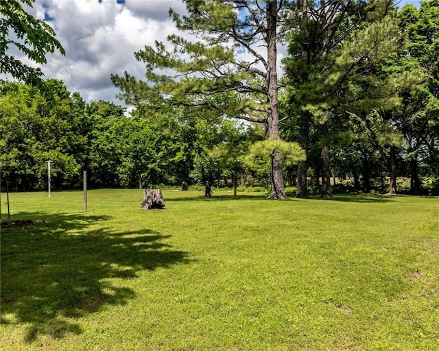 16477 Greasy Valley Rd, Canehill, AR 72717 - photo 1