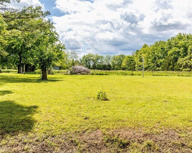 16477 Greasy Valley Rd, Canehill, AR 72717 - photo 4