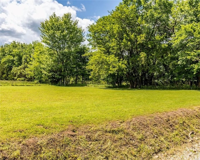 16477 Greasy Valley Rd, Canehill, AR 72717 - photo 5