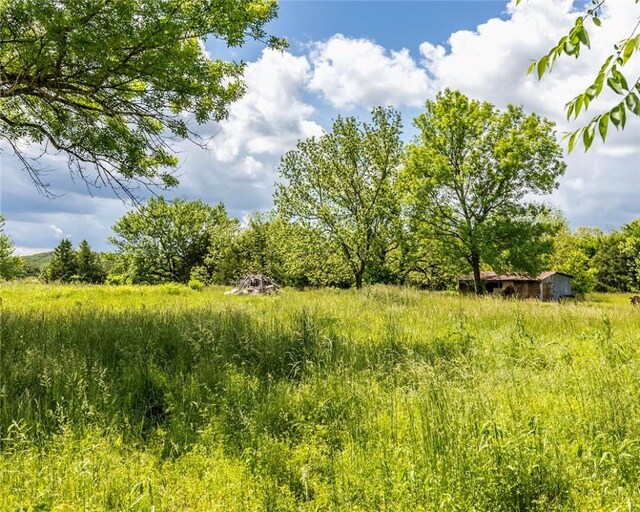 16477 Greasy Valley Rd, Canehill, AR 72717 - photo 6