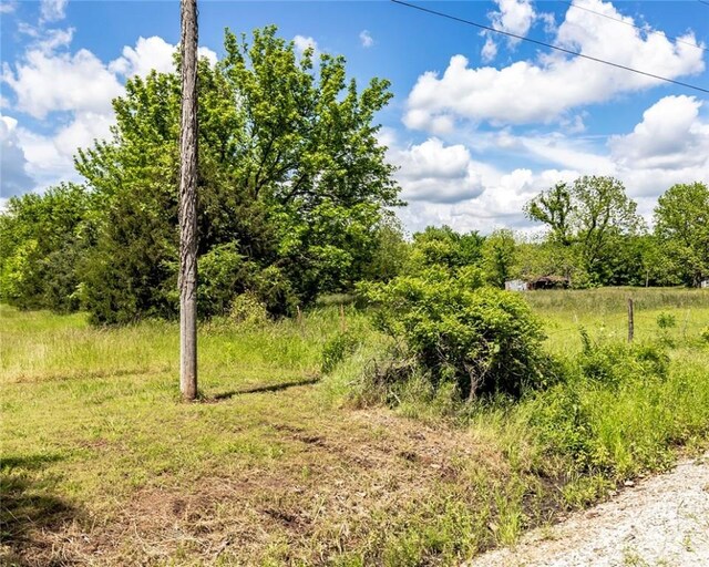 16477 Greasy Valley Rd, Canehill, AR 72717 - photo 7