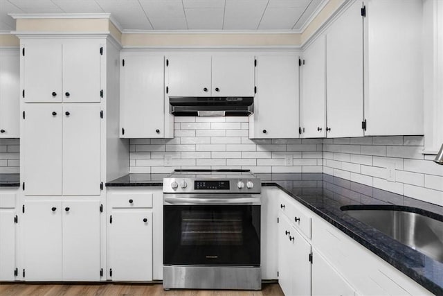 21106 Kirksey Rd, Elkins, AR 72727 - kitchen with stainless steel range with electric stovetop, under cabinet range hood, a sink, backsplash, and crown molding