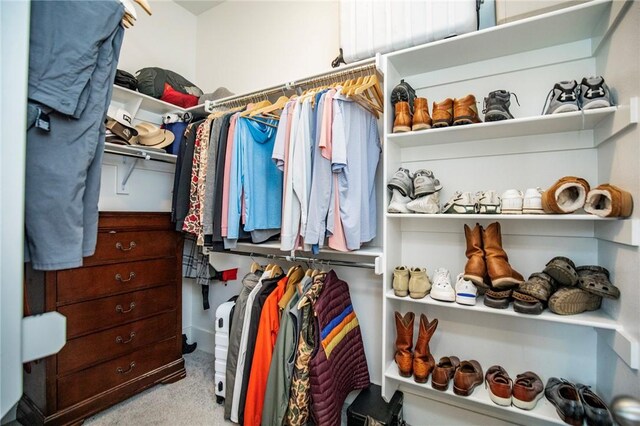 walk in closet with carpet flooring