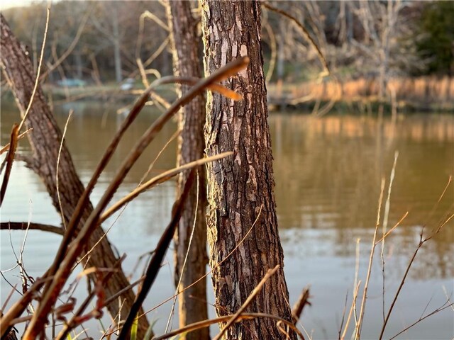 407 W Short St, Fayetteville, AR 72701 - photo 25