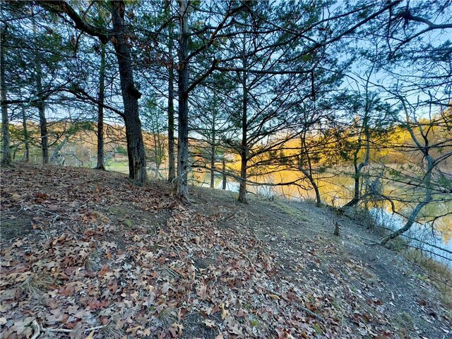 407 W Short St, Fayetteville, AR 72701 - photo 26
