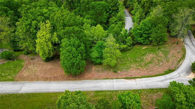TBD Mountain Lake Court, Rogers, AR 72756