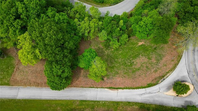 TBD Mountain Lake Court, Rogers, AR 72756
