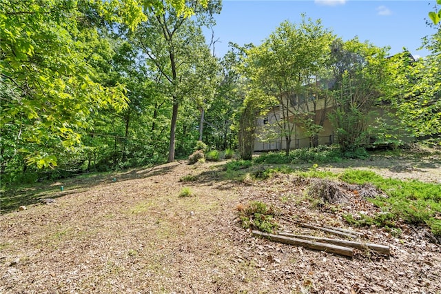 10 Forfar Cir, Bella Vista, AR 72715 - view of yard