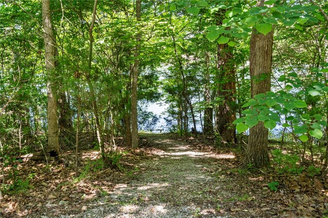 10 Forfar Cir, Bella Vista, AR 72715 - view of local wilderness