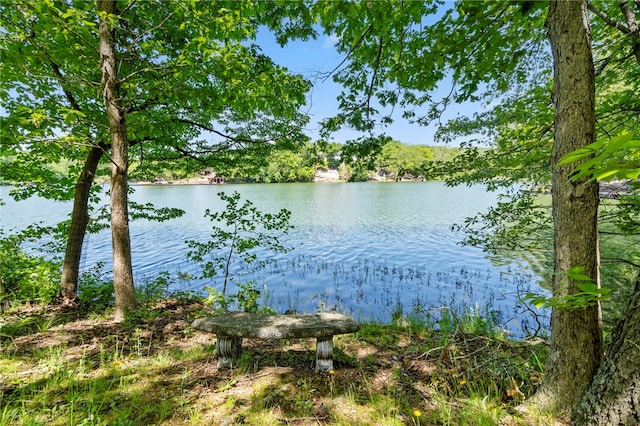 10 Forfar Cir, Bella Vista, AR 72715 - water view