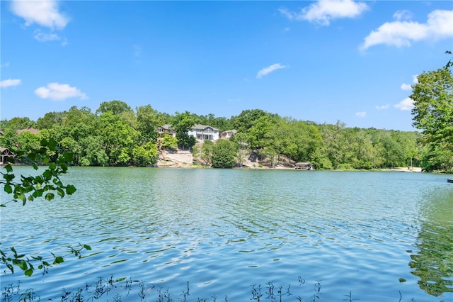 10 Forfar Cir, Bella Vista, AR 72715 - water view featuring a heavily wooded area
