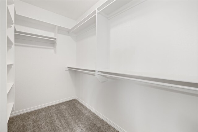 4471 W Oldham Dr, Fayetteville, AR 72704 - walk in closet featuring carpet