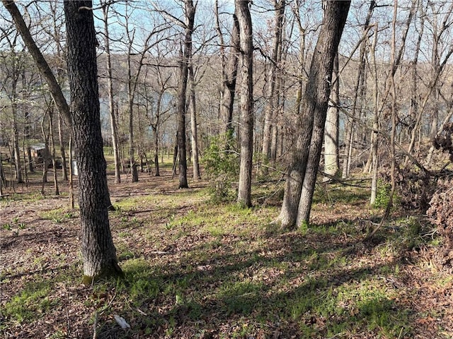 TRACT61 Horseshoe Ln, Rogers, AR 72756