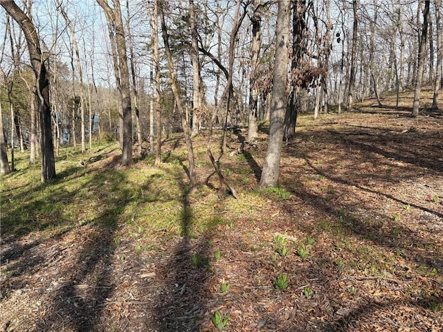 TRACT61 Horseshoe Ln, Rogers, AR 72756