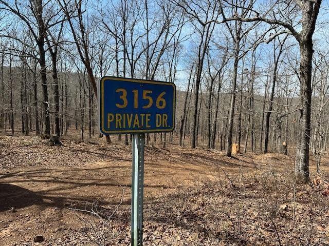 434 Madison Unit 3156, Huntsville, AR 72740 - photo 34