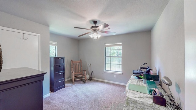 12526 Avoca Hollow Rd, Garfield, AR 72732 - interior space with healthy amount of natural light, light carpet, a ceiling fan, and baseboards