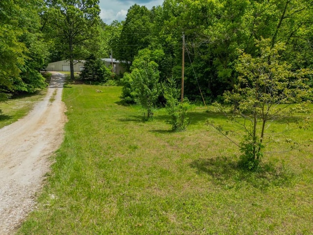 12526 Avoca Hollow Rd, Garfield, AR 72732 - view of yard