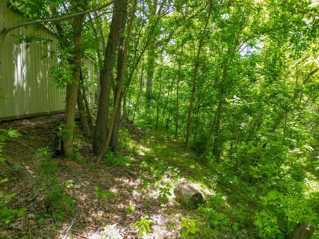 12526 Avoca Hollow Rd, Garfield, AR 72732 - view of undeveloped land