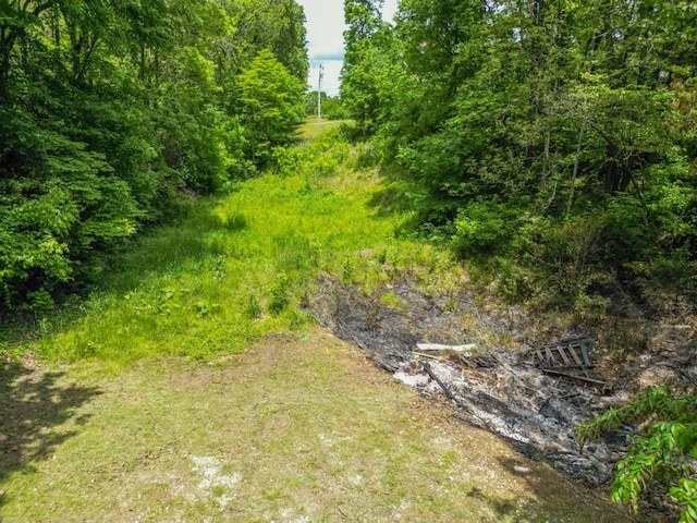 12526 Avoca Hollow Rd, Garfield, AR 72732 - view of yard