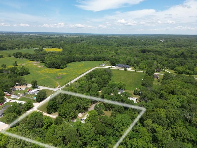 12526 Avoca Hollow Rd, Garfield, AR 72732 - bird's eye view of a forest