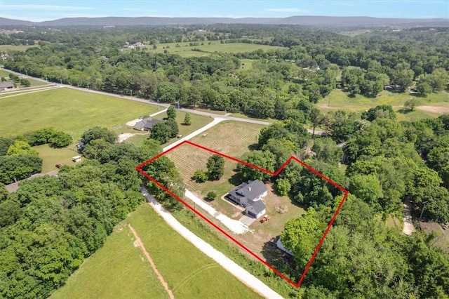 12391 Shamrock Rd, Farmington, AR 72730 - view of rural area featuring property parcel outlined and a heavily wooded area