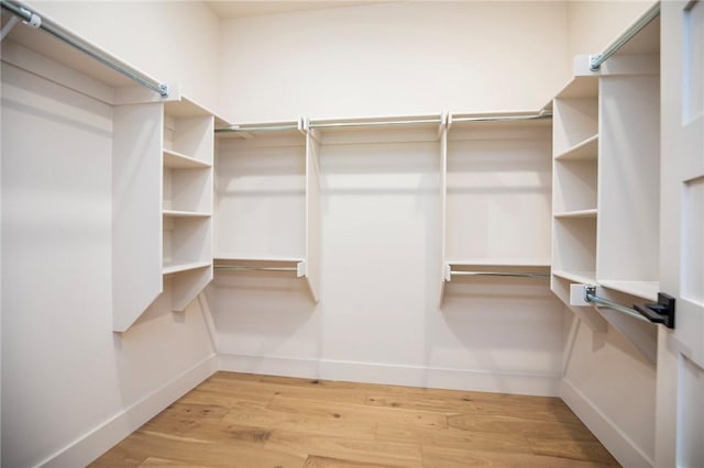 25 Lathrop Dr, Bella Vista, AR 72715 - walk in closet with light wood-type flooring