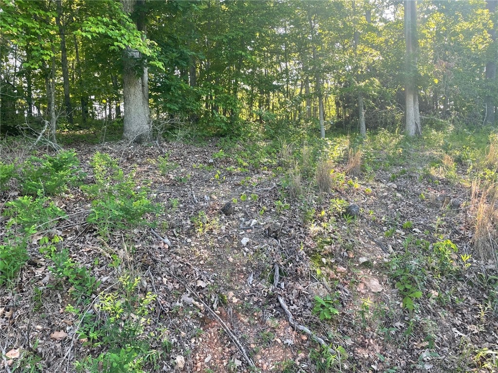 Argyll Dr, Bella Vista, AR 72715